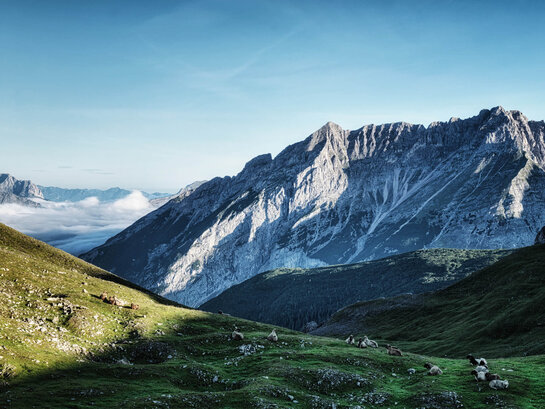 Karwendelblick
