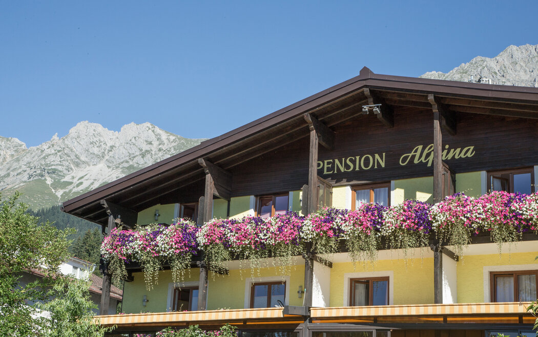Pension Alpina